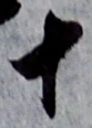 글자 十