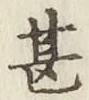글자 甚