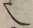㐌定位𬻿