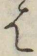 글자 は