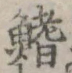 鰭 위치 확인됨