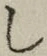 글자 し