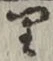 글자 り