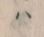 𛂞 위치 확인됨