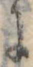 位置 確認된 𛂌