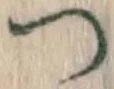 字つ