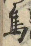 鳥 위치 확인됨