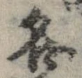 已定位各
