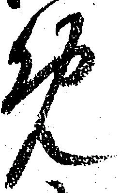 免 위치 확인됨