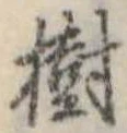 樹 위치 확인됨