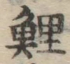 字鯉