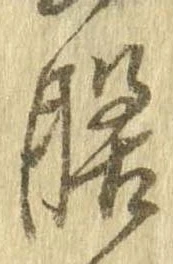 膳 위치 확인됨