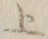 字上