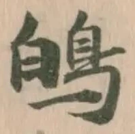 䳆の位置