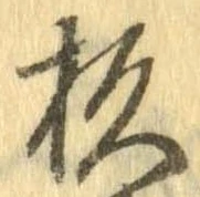 杉 위치 확인됨