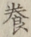 Chữ 養