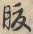 腹 위치 확인됨