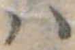 𛂞の位置