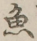 魚 위치 확인됨