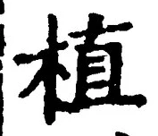 글자 植
