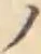 字ノ