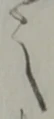 位置 確認된 之