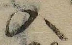 位置 確認된 入
