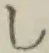 글자 し