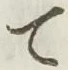 文字 て
