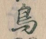 鳥 위치 확인됨