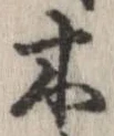 位置 確認된 木