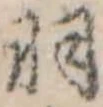 羽 위치 확인됨