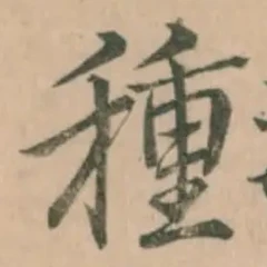 글자 種