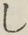 글자 し