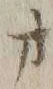 𡨸オ