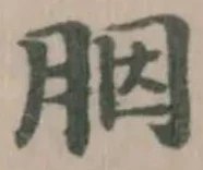 胭 위치 확인됨