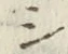 字シ