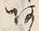 文字 あ