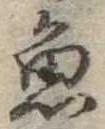 魚 위치 확인됨