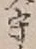 “守”字