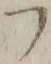 字フ