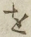 文字 を