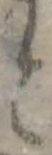 位置 確認된 と