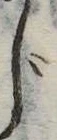 じ 위치 확인됨