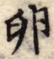 卵 위치 확인됨