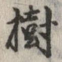 樹，已得其位