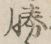 勝 위치 확인됨