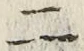 文字 二