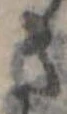 さ 위치 확인됨