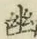 字幽